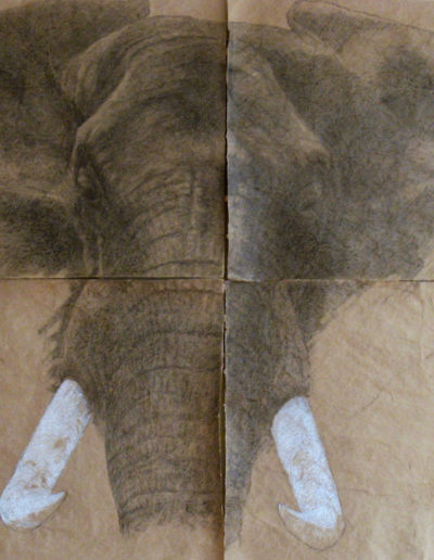 Élephant, 200 x 130 cm